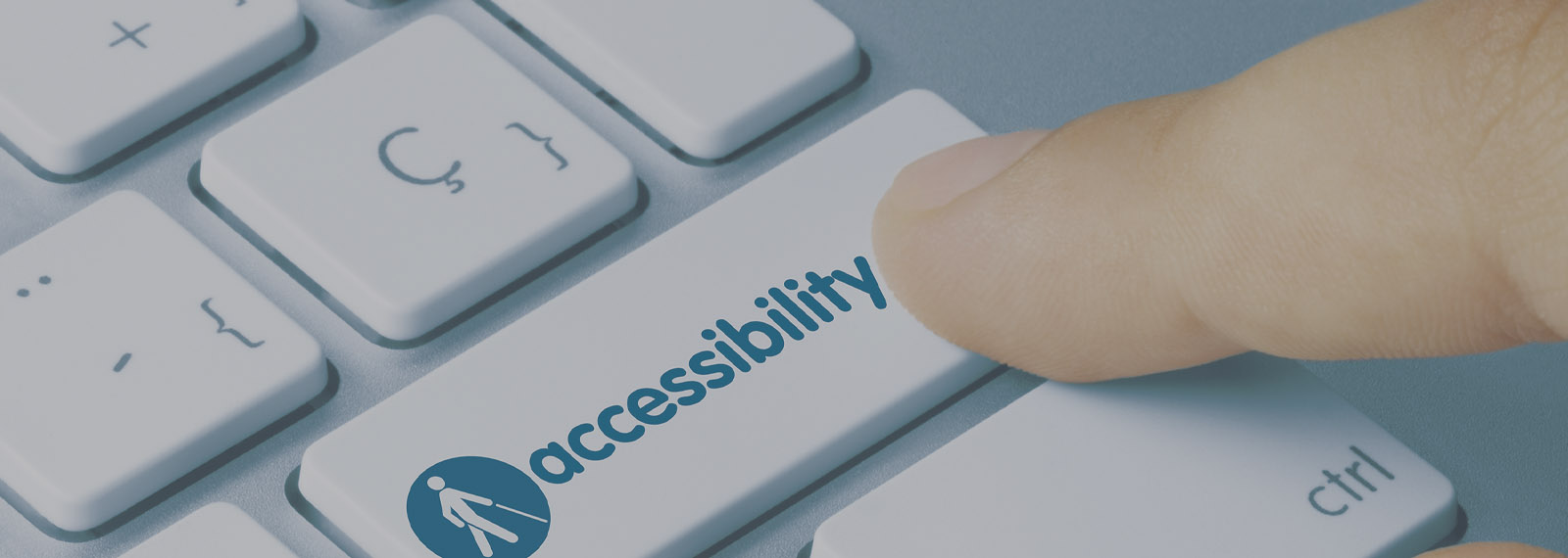ADA Accessibility Page Banner