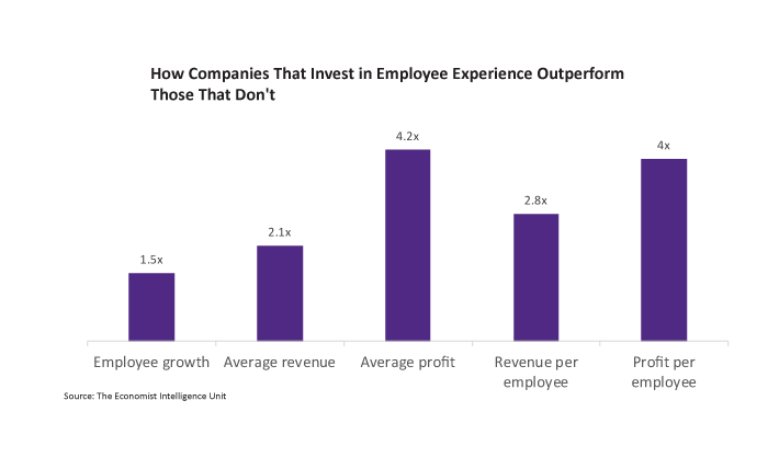 Employment Experience comparison