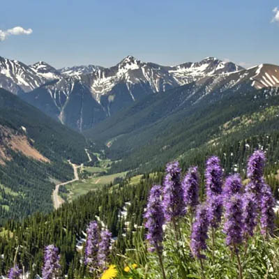 America's Credit Unions Marketing, PR & Development Conference